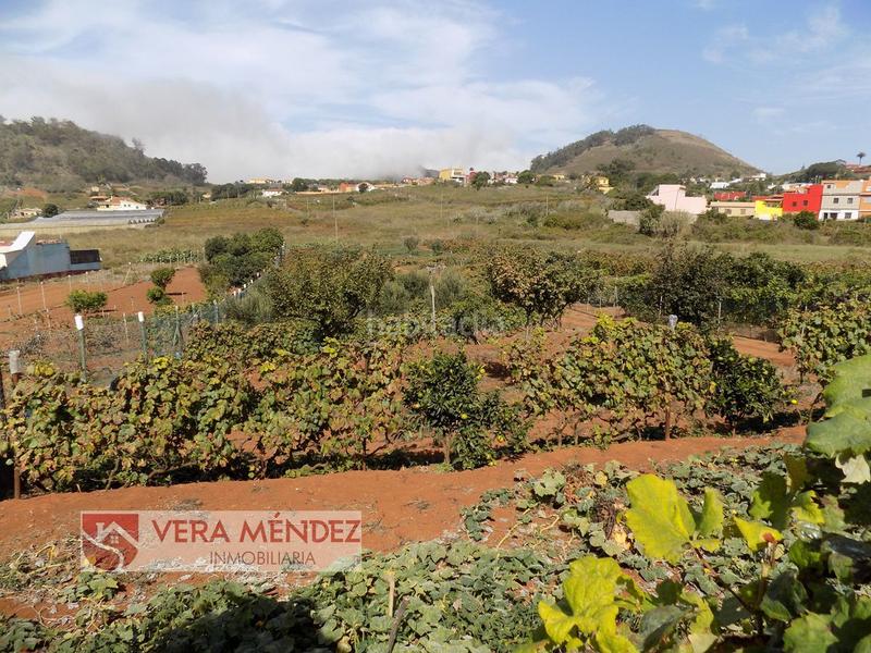 Foto cd9c285a-6aef-4d81-bbca-8835a295a652. Mas dans Tacoronte - los naranjeros Tacoronte