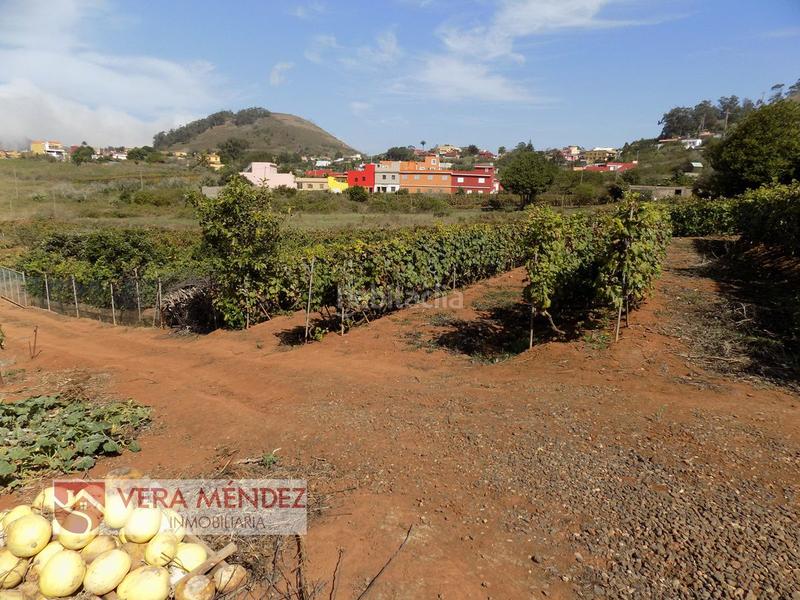 Foto d4abd7e6-b505-42ac-a239-3b5b7d62c4ce. Mas dans Tacoronte - los naranjeros Tacoronte