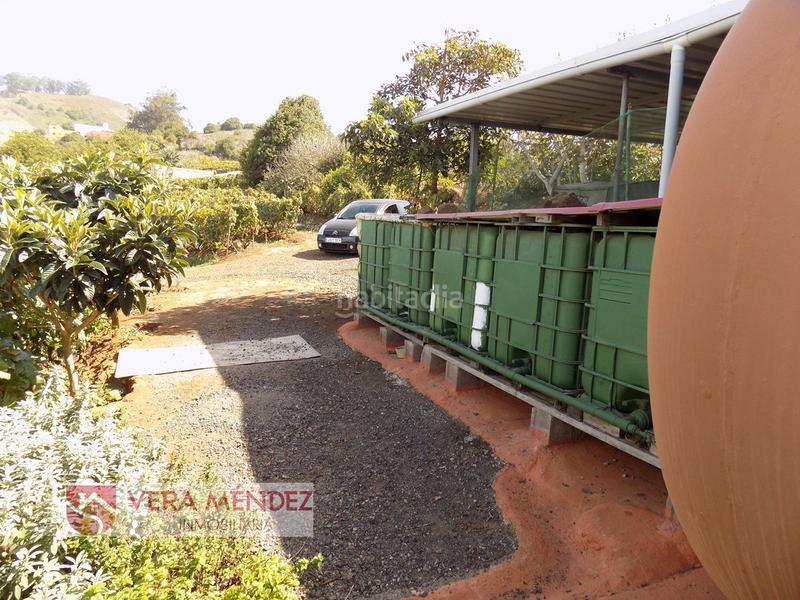 Foto f4658b4e-18f5-4800-998e-96171b8718e3. Mas dans Tacoronte - los naranjeros Tacoronte