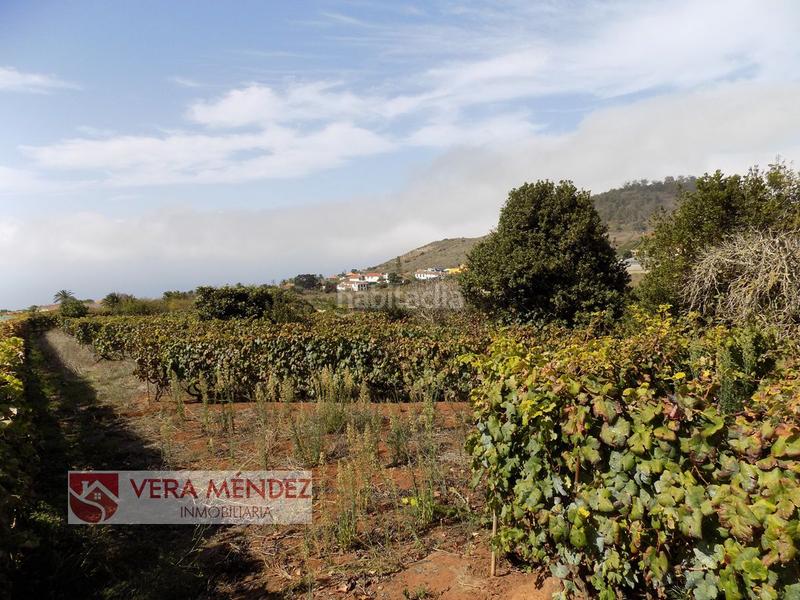 Foto f48e1d82-8fde-4fa6-96e4-6c4a4c38599f. Mas dans Tacoronte - los naranjeros Tacoronte