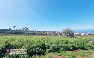Mas à Tacoronte - Los Naranjeros. Finca rúst. en venta en la caridad.