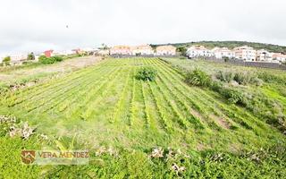 Masia a Sauzal (El). Finca rúst. en venta en carretera general sauzal.