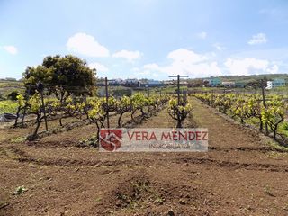 Masia a Salto del gato. Finca rúst. en venta en el sauzalito.