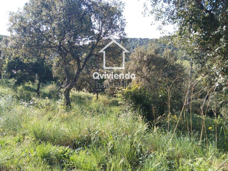 Foto 60d13965-5f8c-4ee0-a4a5-8172ae800eb7. Xalet a Campins