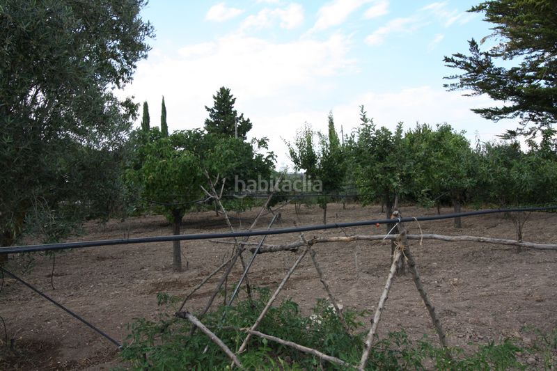 Foto f10641c9-00a1-48ec-9179-7e6770db0c41. Xalet amb calefacció aparcament piscina a Laguna de Duero