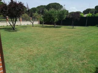 Terreny residencial  Diamante. Parcela en venta en villanueva de duero.