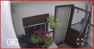 Maison à Carlota (La). Casa adosada en venta en las pinedas, la carlota