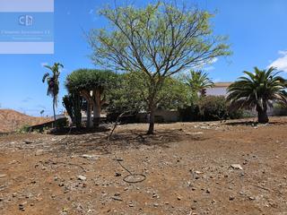 Casa a Sauzal (El). Casa canaria con terreno