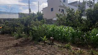 Terreny residencial a Buen Paso - La Mancha. Solar urbano con parte rústica en icod de los vinos 2500 ms2