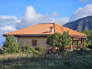 Masia a El Bebedero - Pinolere - Aguamansa. Finca con chalet, apartamentos , cueva y pajeros  norte tenerife