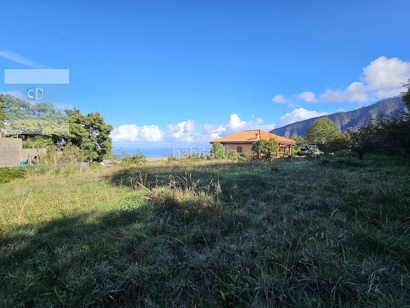 Foto e247da78-e71a-4449-a454-db68358de219. Masia amb aparcament a El Bebedero - Pinolere - Aguamansa Orotava (La)