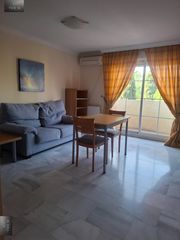 Apartment in Rosaleda - Juventud