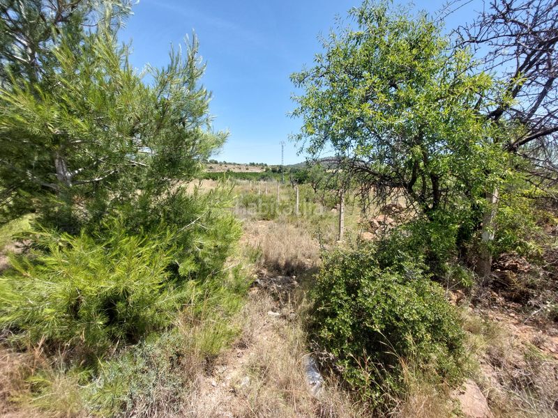 Foto 093e9c14-7b6a-409a-8005-4d755bd9c359. Finca rústica a Corralet-Bonanza-Tres Rutas Náquera