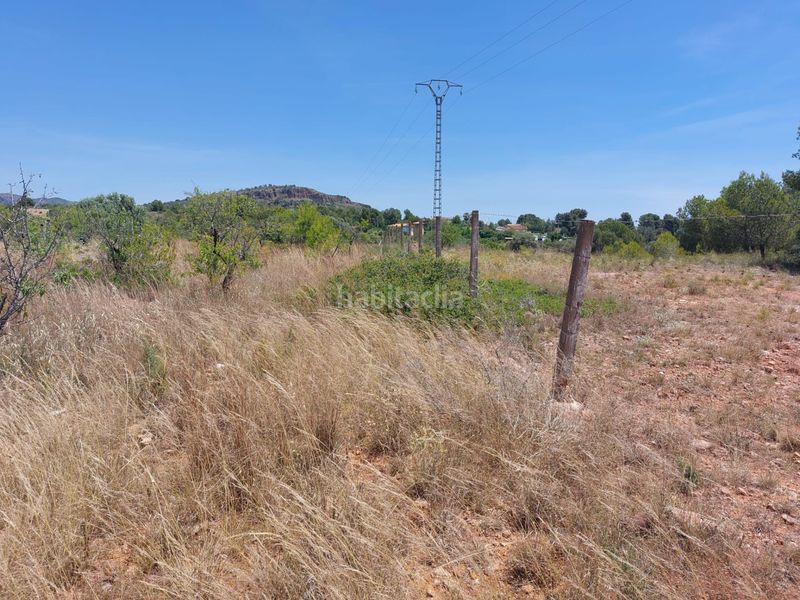 Foto 6b127fb2-e737-489d-86a5-9efab593c678. Finca rústica a Corralet-Bonanza-Tres Rutas Náquera