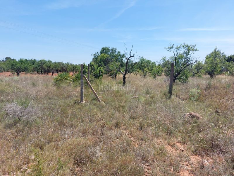 Foto 7f96eb49-06a4-4873-866d-b31067216e1c. Finca rústica a Corralet-Bonanza-Tres Rutas Náquera