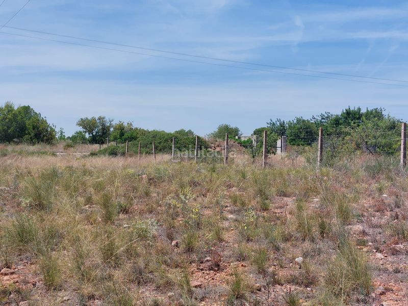 Foto bade8b90-d128-4b55-9cb8-950c2d3ae8f3. Finca rústica a Corralet-Bonanza-Tres Rutas Náquera