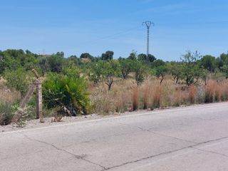 Finca rústica  Partida cabec bort 4