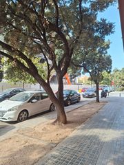 Pis a Carrer amics del corpus 17