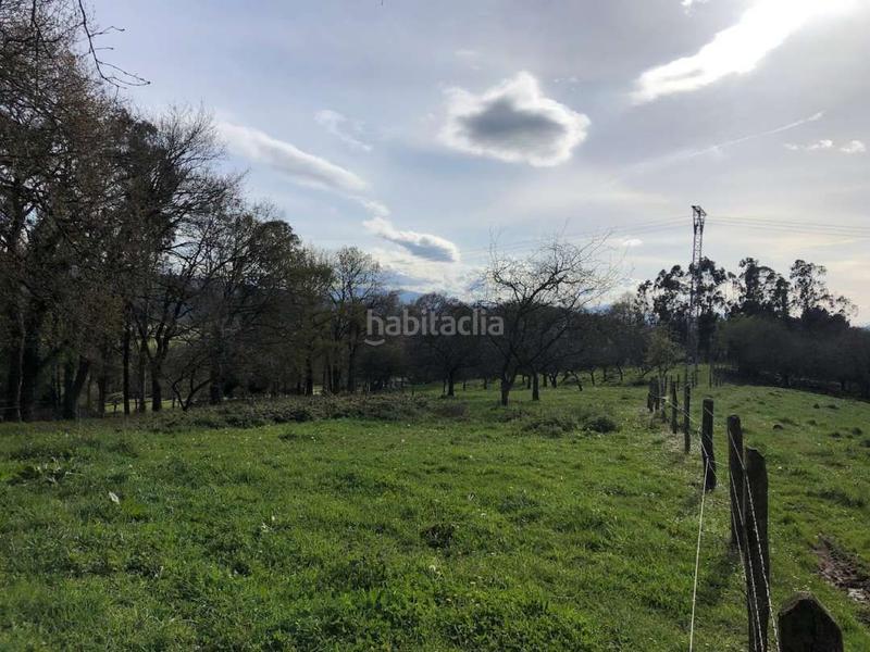 Foto 1063b069-f23c-4b25-8314-58168ebf47f8. Masía se vende conjunto de fincas en Llanera