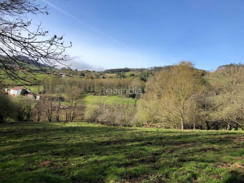 Foto 239d37a8-29a3-43f3-a36d-ee4cc03d699d. Masía se vende conjunto de fincas en Llanera