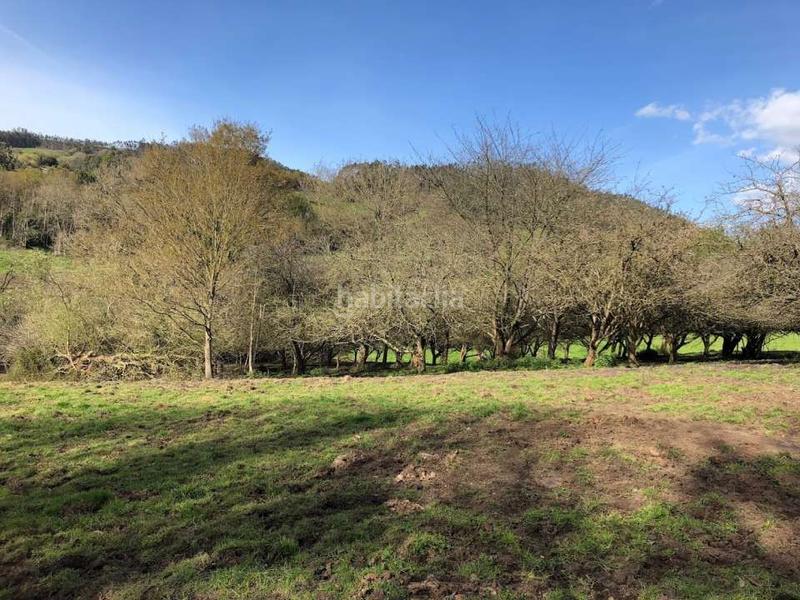 Foto 80fbbfdc-1733-44ec-beb8-f079ab86fdde. Masía se vende conjunto de fincas en Llanera