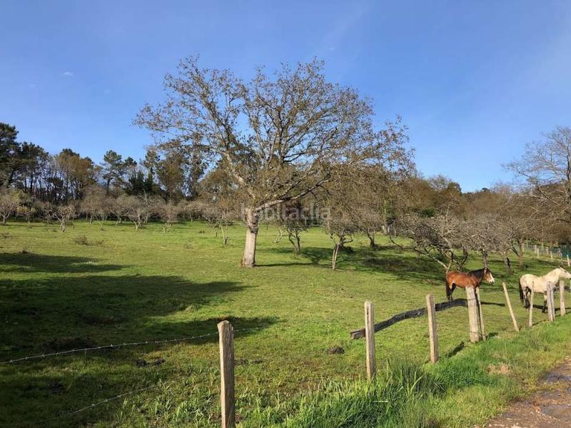 Foto 83a1bae8-4f1b-4a84-b6e2-b4a04a577c85. Masía se vende conjunto de fincas en Llanera