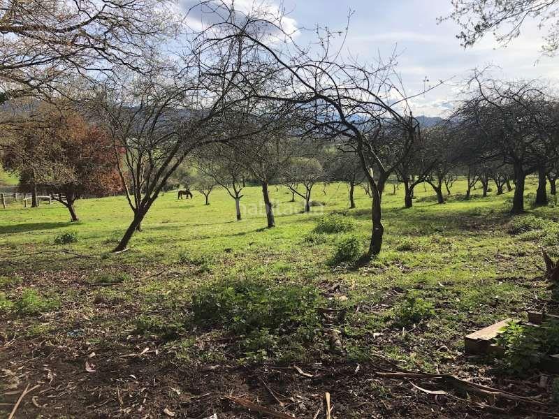 Foto ce04d682-fc55-44bc-b84b-5374756c6b0a. Masía se vende conjunto de fincas en Llanera