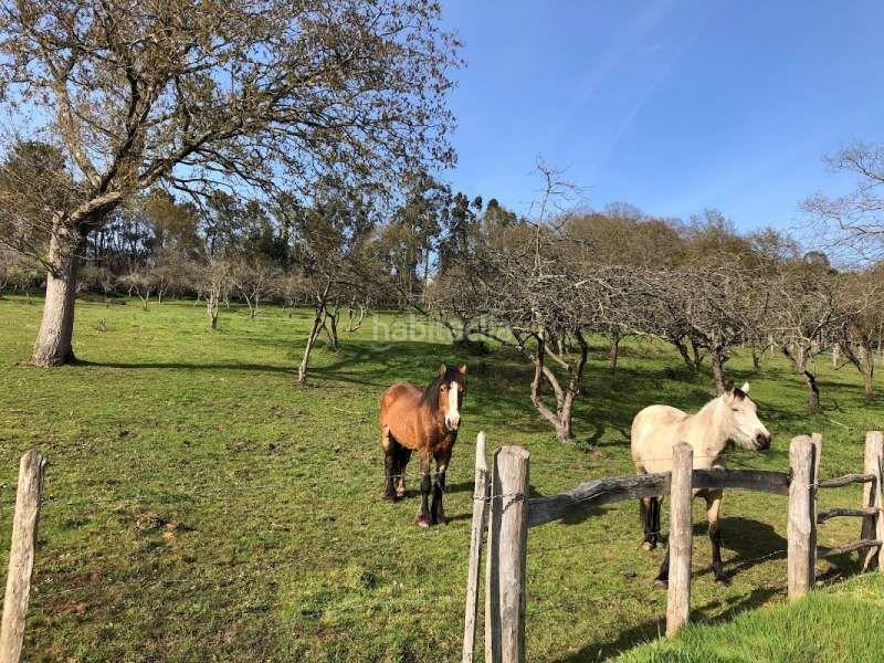 Foto f18f2e52-83f9-4f3c-aa10-db1bdc0b7cf5. Masía se vende conjunto de fincas en Llanera