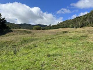 Masia en Llanera. Venta de finca en llanera