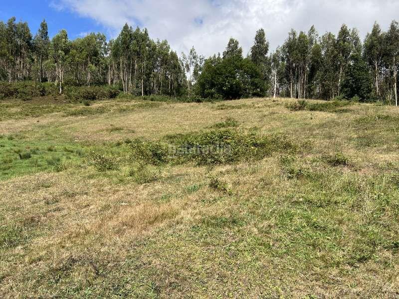 Foto 0f55ffa7-8f1d-4964-8737-3f1773573485. Casale in Llanera