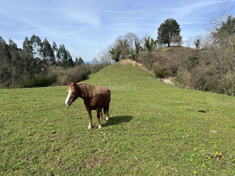 Foto 9f42c687-3b21-4a35-af57-a4a47509e100. Finca rústica a Carbayin-Lieres-Valdesoto Siero