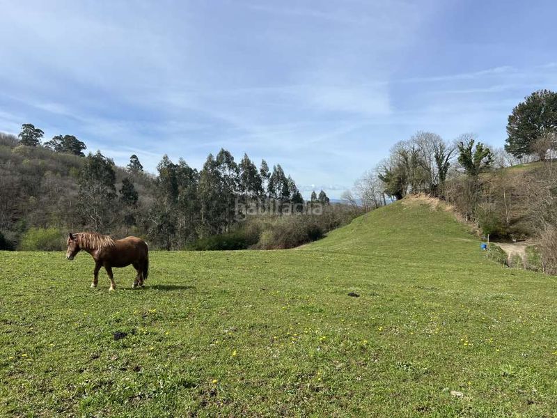 Foto ef12a5d9-74bf-4515-893e-21e09eb9c7f4. Finca rústica a Carbayin-Lieres-Valdesoto Siero