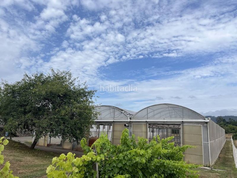 Foto a19a2a01-e416-4255-8f07-bf9f080e6251. Finca rústica a Llanera