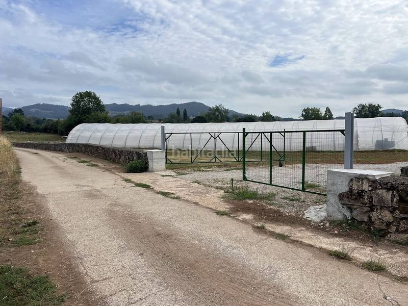Foto bc3e016e-0de2-48c8-ba41-a4af92ee326a. Finca rústica a Llanera