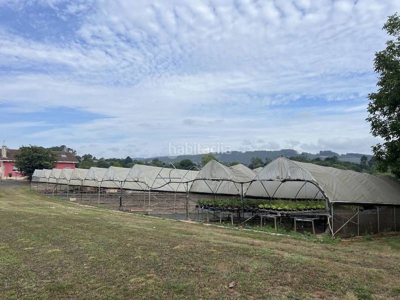 Foto d039ab0e-1c33-40b7-93bb-142c55d39e9a. Finca rústica a Llanera