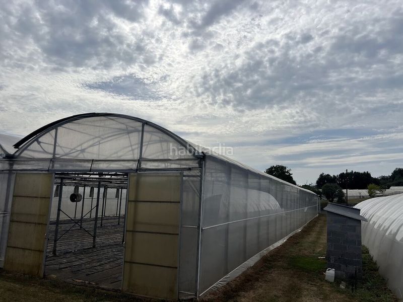 Foto f6fbe7f0-a9fa-4be6-b936-26e5f7096987. Finca rústica a Llanera