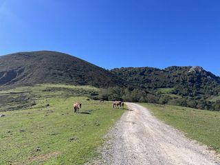 Casa a Nava. Cabaña con agua de manantial y terreno en les praeres nava astur