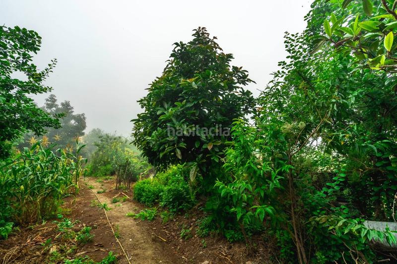 Foto 0689625a-0394-4499-b581-21eca545703b. Masia amb aparcament a El Bebedero - Pinolere - Aguamansa Orotava (La)