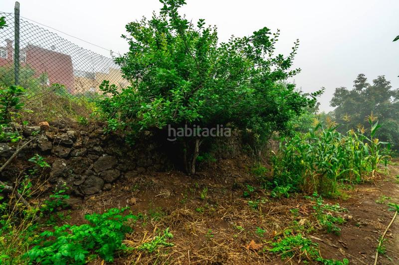 Foto 3370abf4-43b0-4bfc-b77d-8bd8e94fdcab. Masia amb aparcament a El Bebedero - Pinolere - Aguamansa Orotava (La)