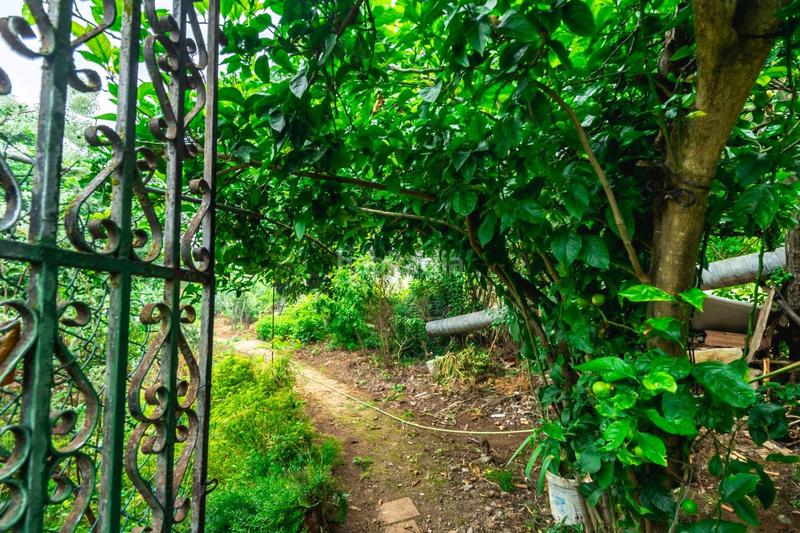 Foto beb713ae-09c2-4ff2-973e-754e6ceda581. Masia amb aparcament a El Bebedero - Pinolere - Aguamansa Orotava (La)