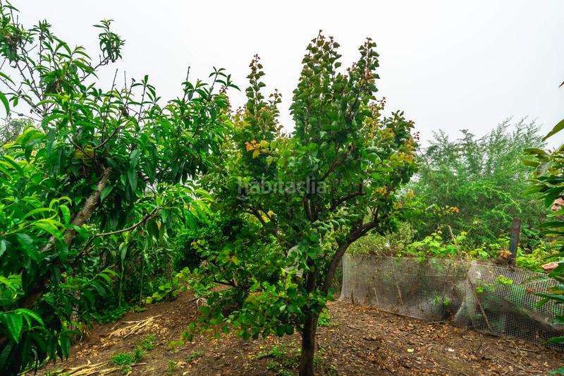 Foto c7b37474-d243-49ff-9b39-283ccc76733e. Masia amb aparcament a El Bebedero - Pinolere - Aguamansa Orotava (La)