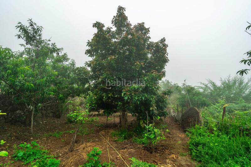 Foto db8112fe-9e9a-4e29-9665-077d7e7df736. Masia amb aparcament a El Bebedero - Pinolere - Aguamansa Orotava (La)