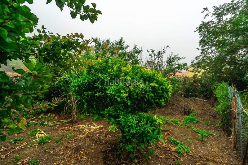 Foto ebd5be9f-36a9-44f9-ba04-67dc62f79952. Masia amb aparcament a El Bebedero - Pinolere - Aguamansa Orotava (La)