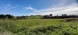 Terrain résidentiel à Ongayo - cl tejera la 4. Finca urbana en ongayo de 6.162 m