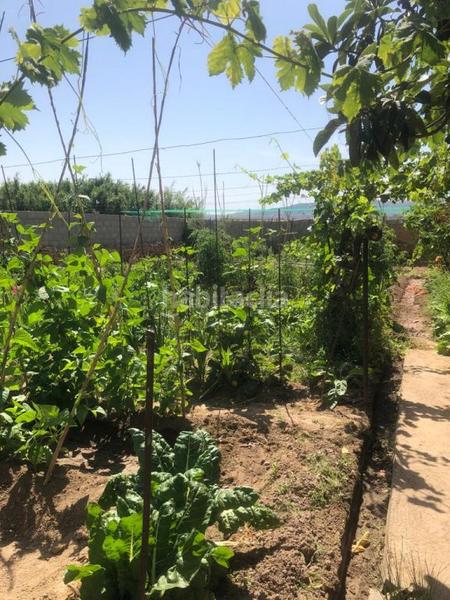 Foto 07c67b18-290e-4cd1-a852-fd414f07be04. Casa en Tarazona