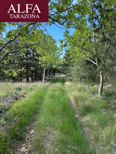 Foto 5b404099-468f-4250-8f09-b113cc69e209. Chalet in Tarazona