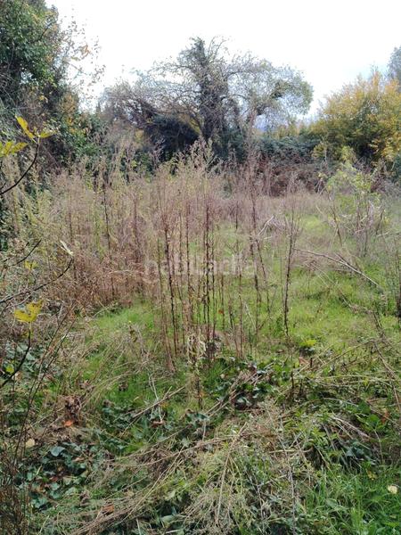 Foto 7bccf95a-8b47-43c1-a5c2-77fcd46a7fae. Mas dans Tarazona