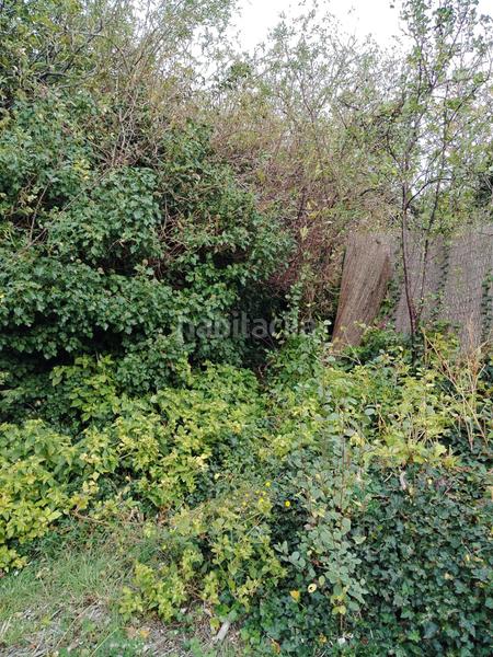 Foto 8d3bb59f-50d6-49ba-8ca2-2838e5bbf35e. Mas dans Tarazona