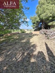Finca rústica en Tarazona. Huerto con construcción en tarazona