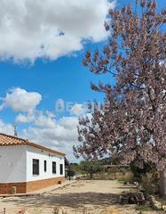 Masía en Tobarra. 1903 chalet de campo en paraje alboraj, tobarra